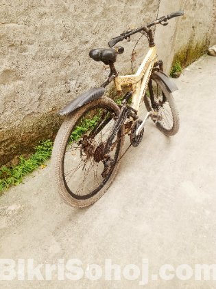 বাইসাইকেলে